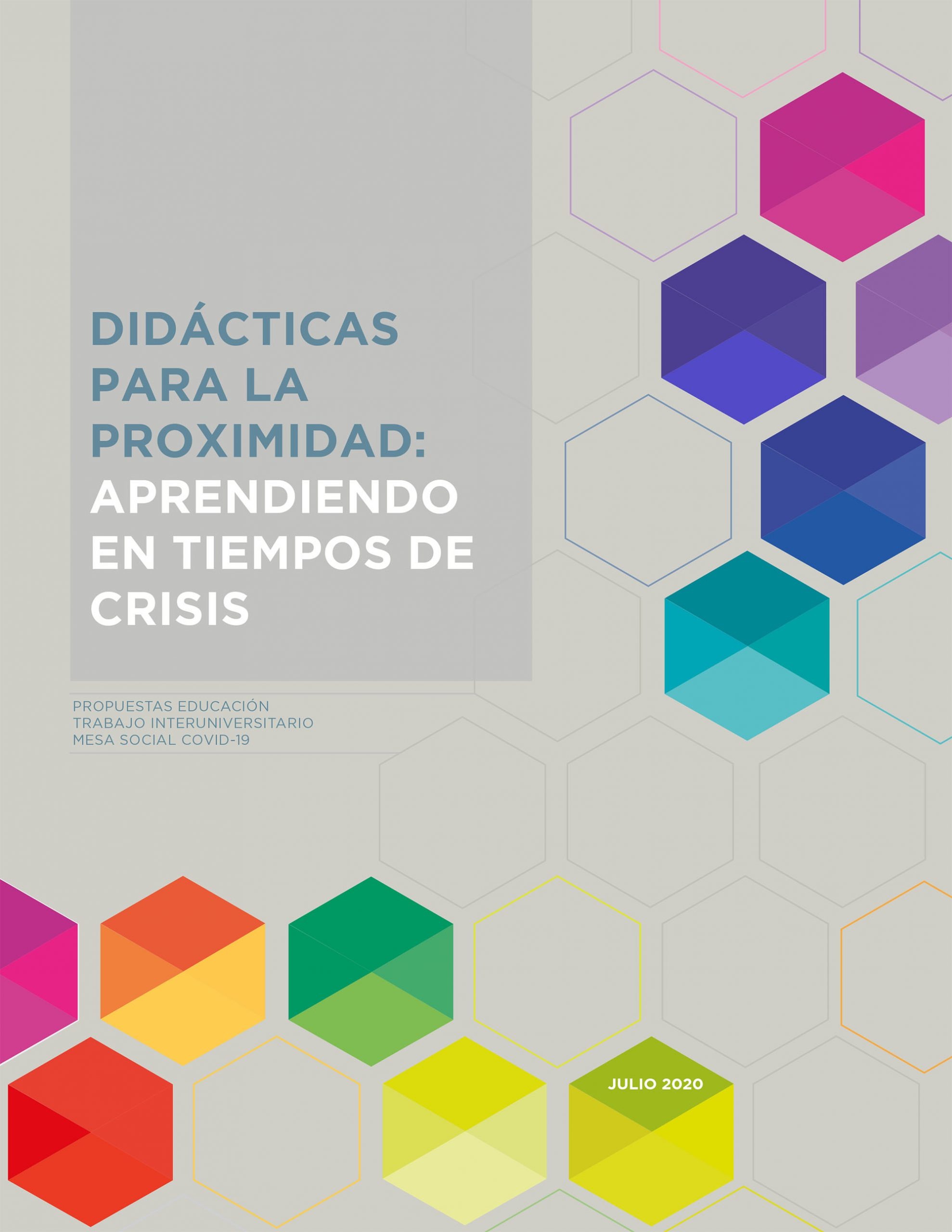 Lee más sobre el artículo Didácticas para la proximidad: aprendiendo en tiempos de crisis
