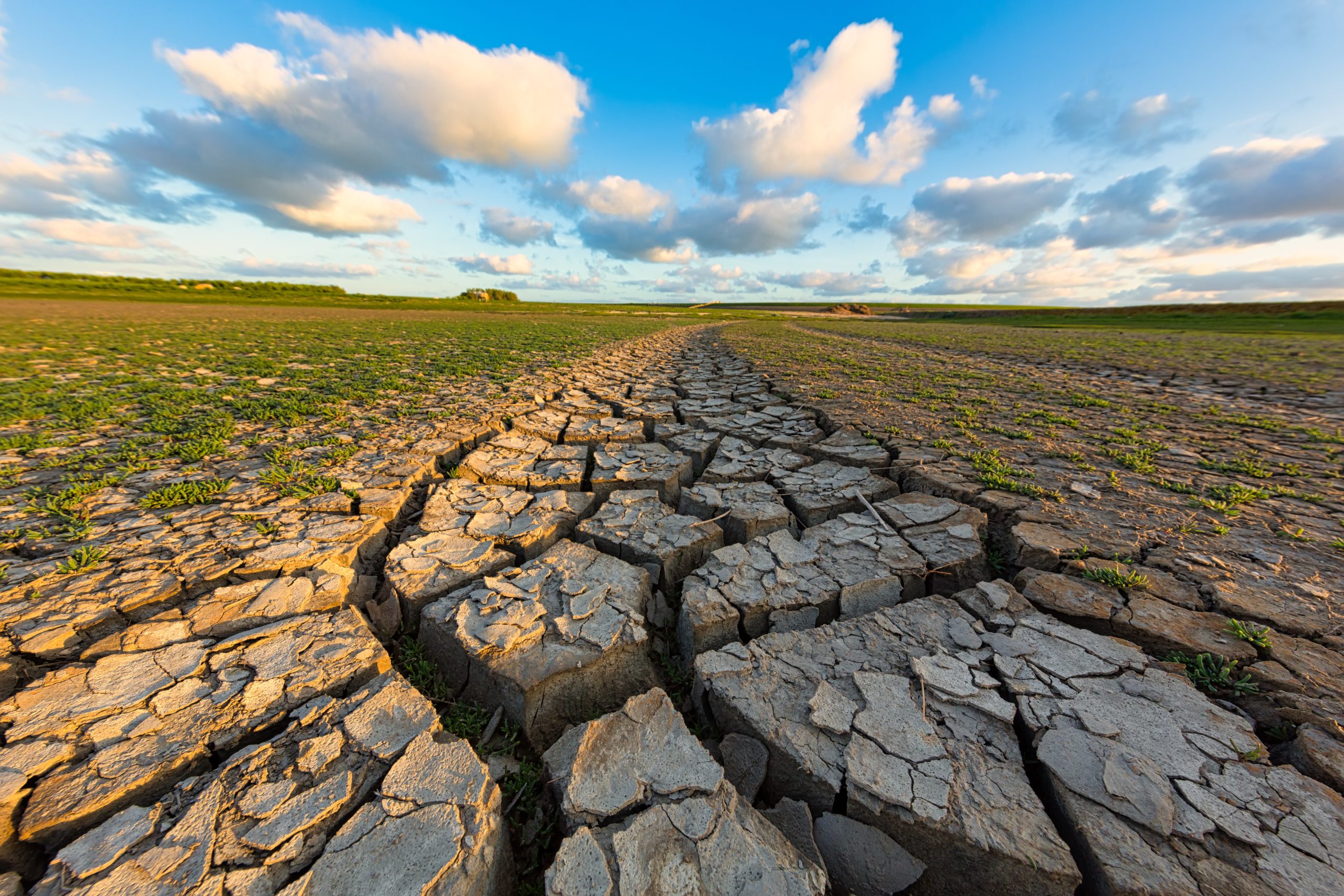 Lee más sobre el artículo Ciclos de retroalimentación: ¿cómo el ser humano ha logrado afectar el clima de la Tierra?