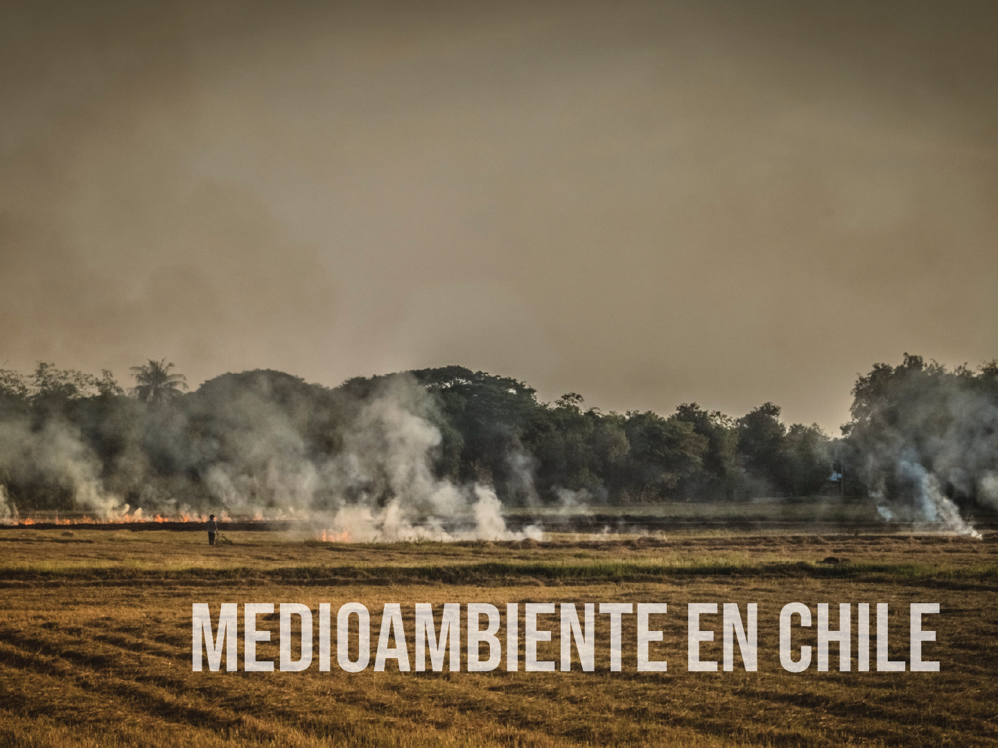 Lee más sobre el artículo Situación Medioambiental de Chile